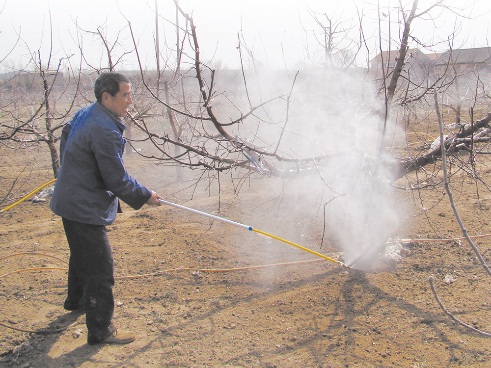 幹枝期和花露期值得您重視