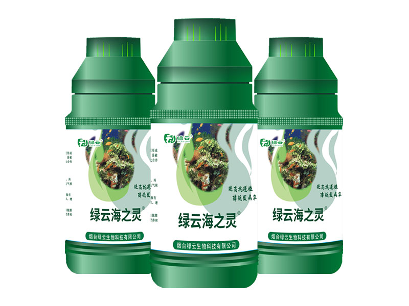 海之靈含氨基酸水溶肥料（水劑）