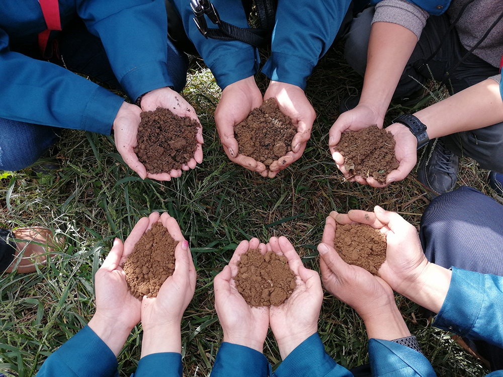 採收後蘋果樹施基肥的好處